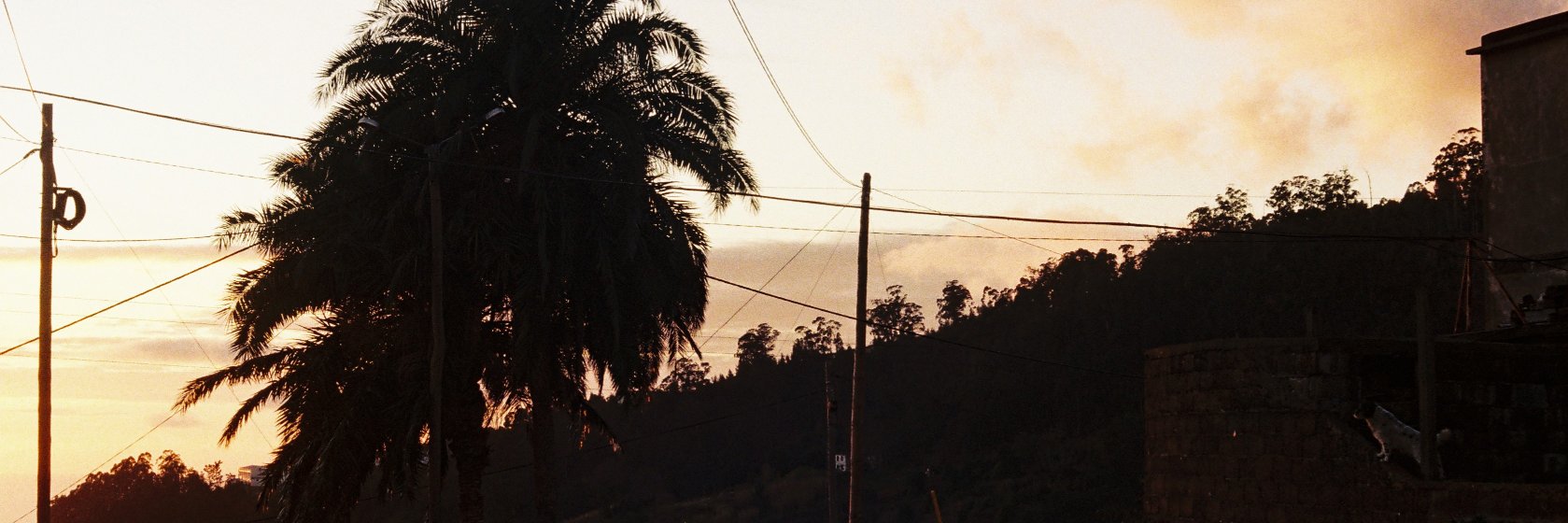 Noemzerr's profile banner image
