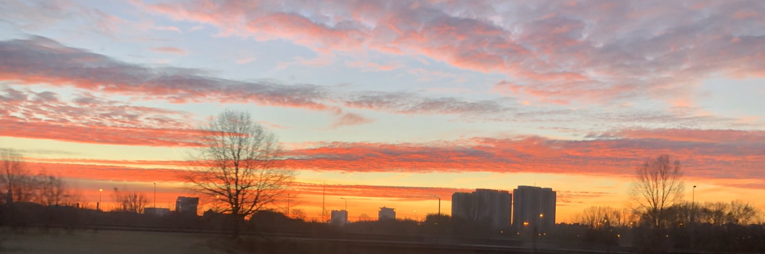 LynnvanFrausum's profile banner image
