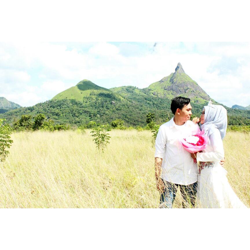 dianapriano's profile banner image