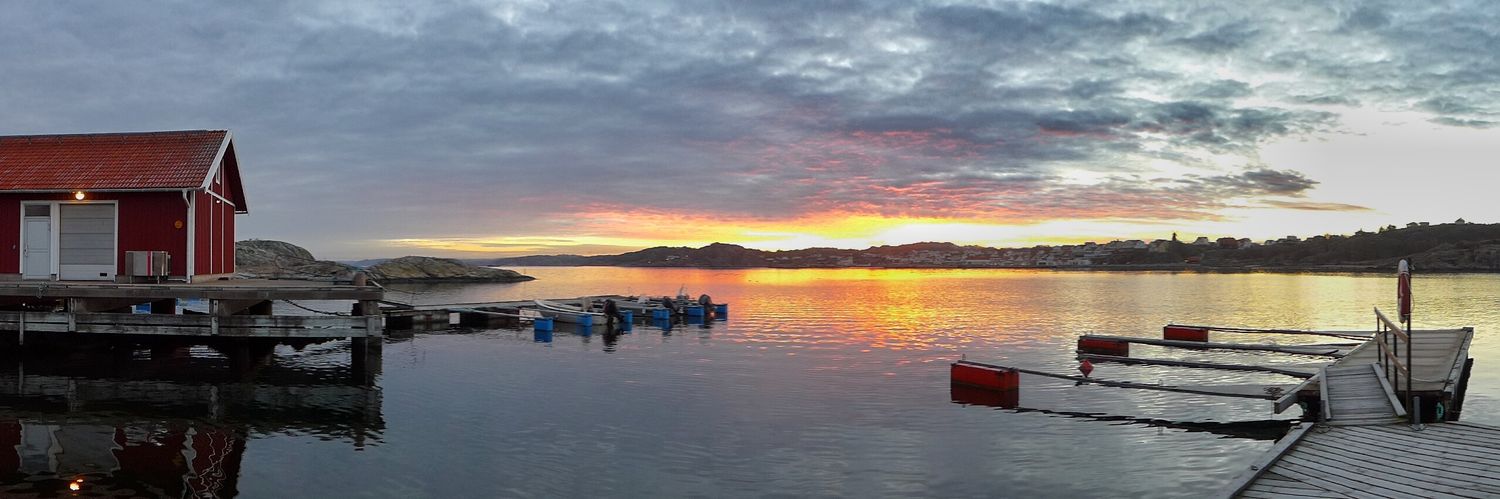 Richard Ticehurst banner