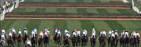 TopTipster36's profile banner image