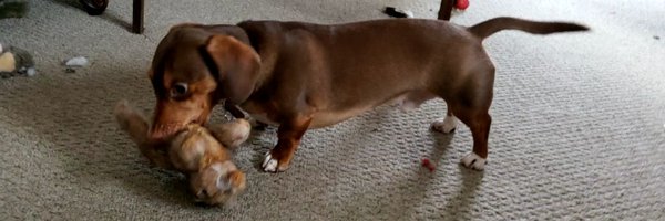 xsafety Profile Banner