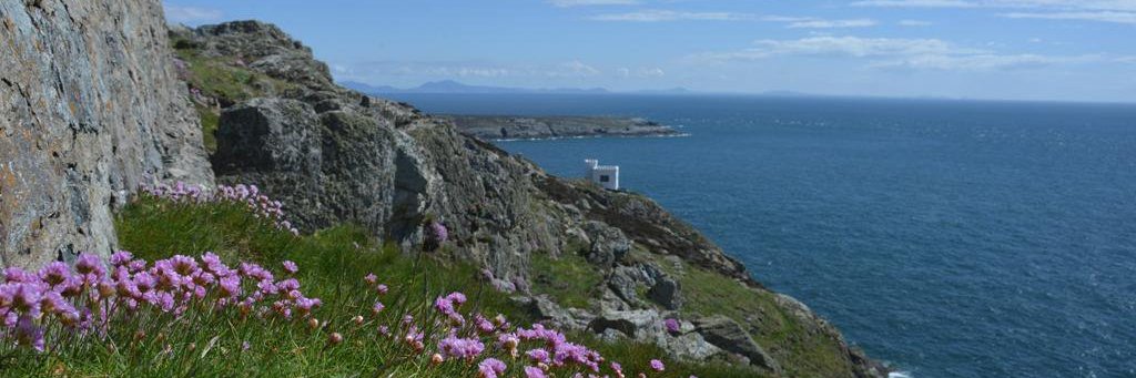 RSPB South Stack banner