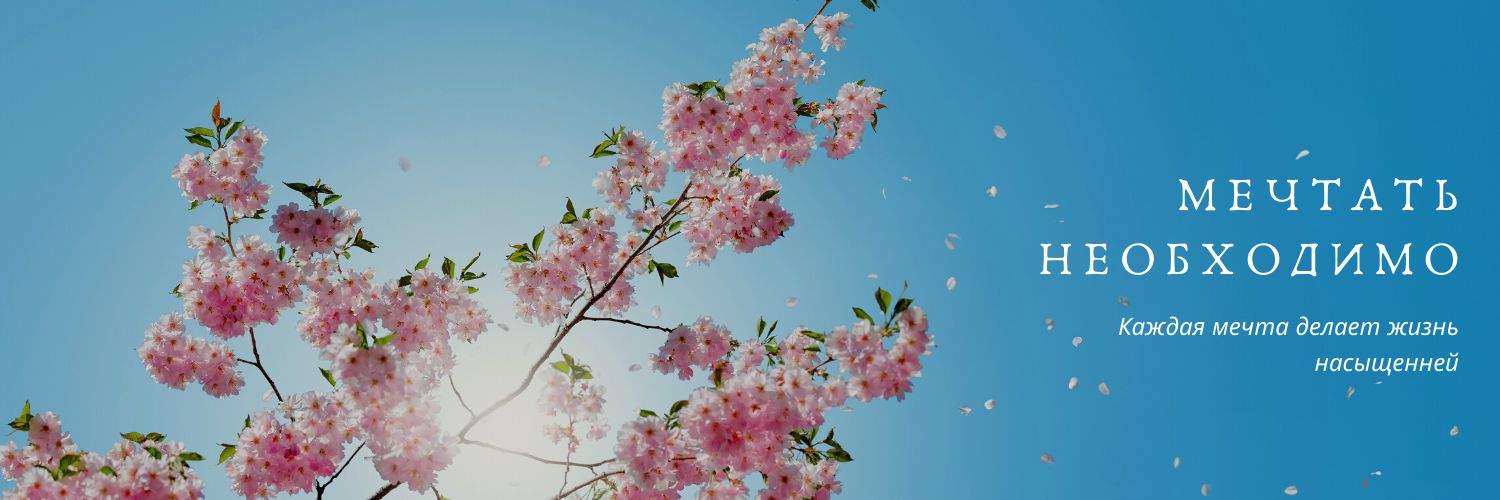 Soffi_ost's profile banner image