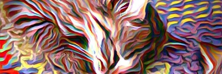 CarrieWTaylor's profile banner image