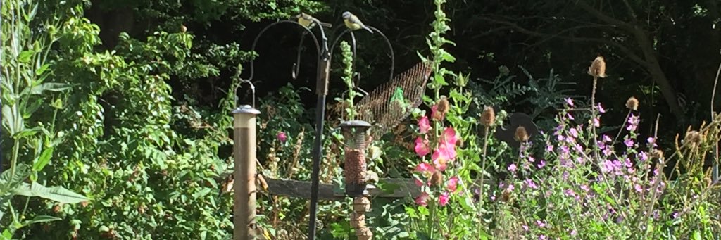 DeborahDuffus's profile banner image