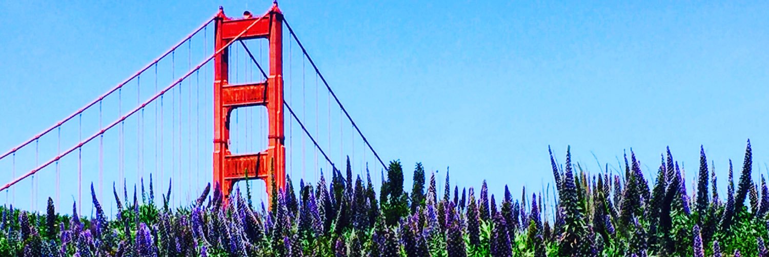 Thomas RABANT banner