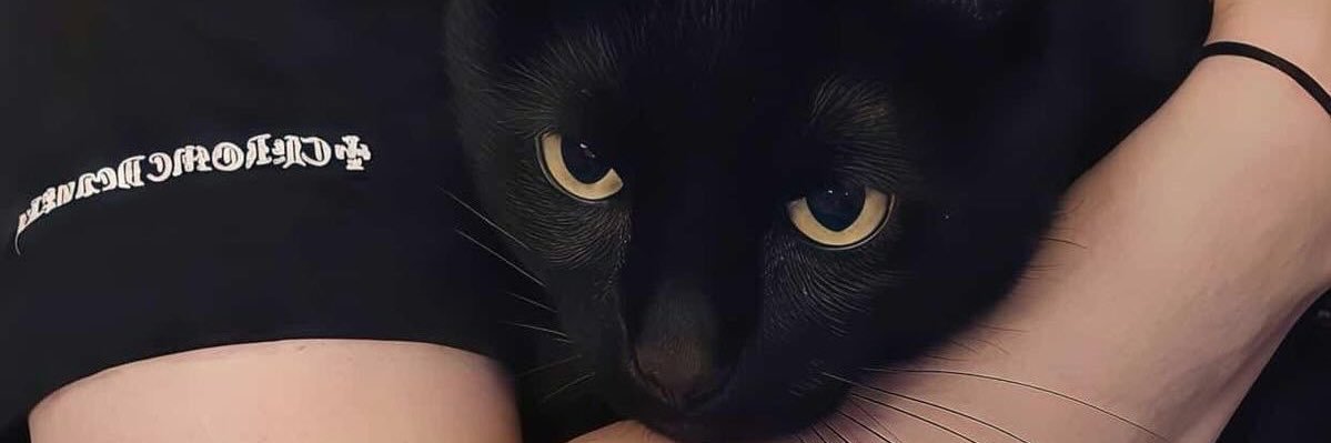 dumplingki's profile banner image