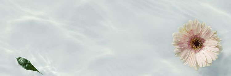 ItsShai_x's profile banner image