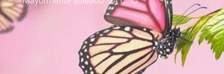 anabel_isabel's profile banner image