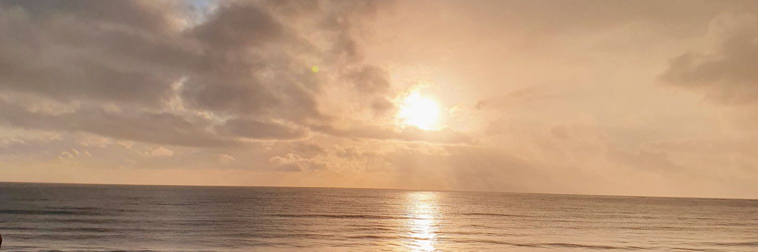 dreamyrafa's profile banner image