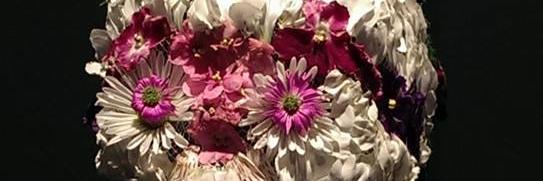 Anna Paluch banner