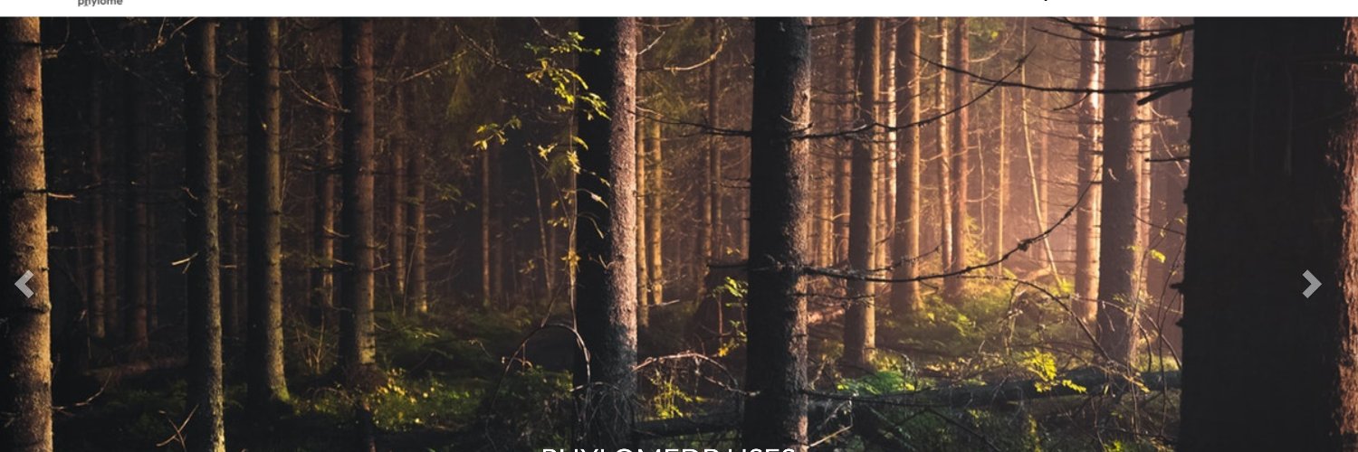 phylomedb's profile banner image