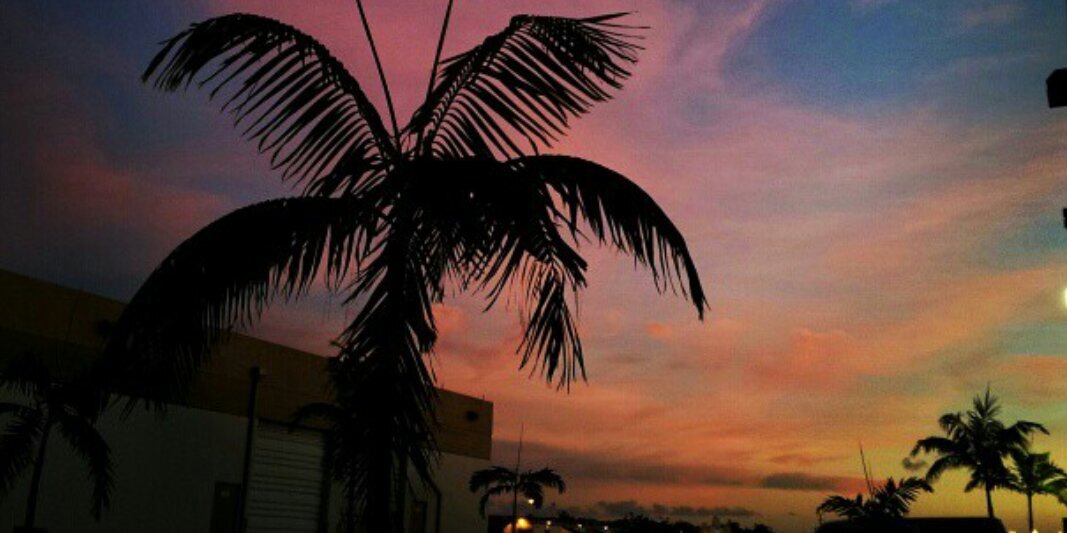 jcvlz's profile banner image