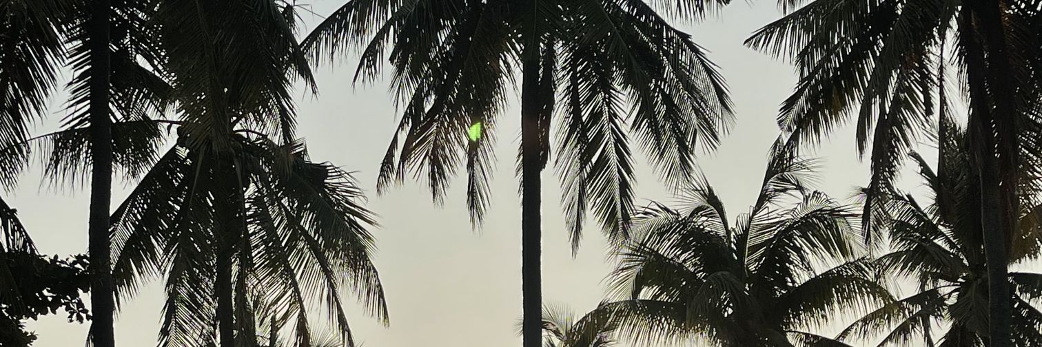 oppameows's profile banner image