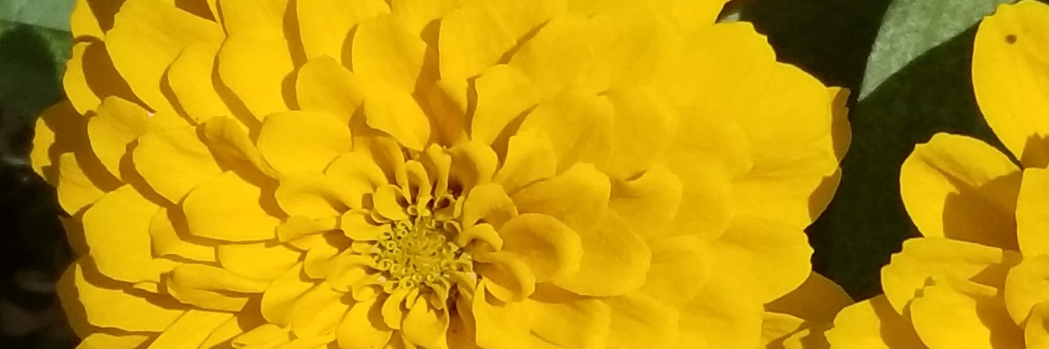 mpbaldauf's profile banner image