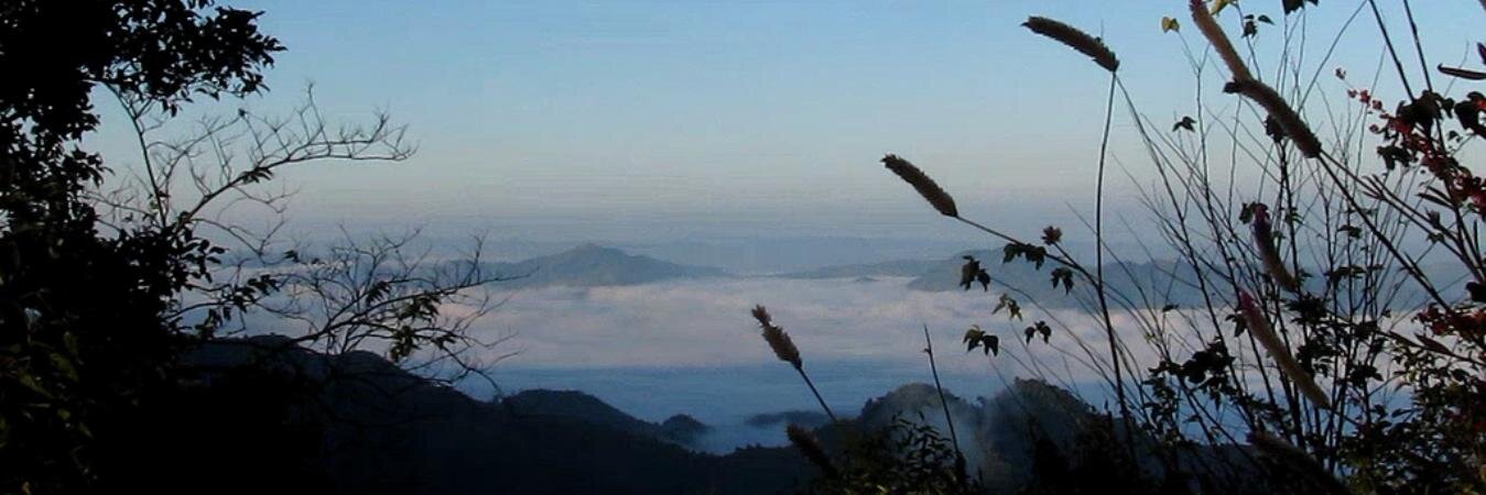 Mizo News banner