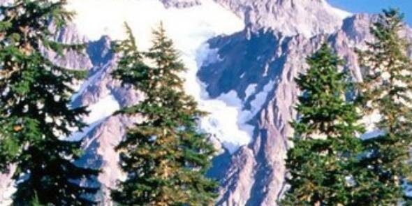 clikkom4more's profile banner image