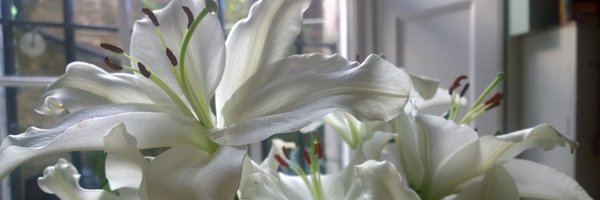 DrKristianKerr Profile Banner