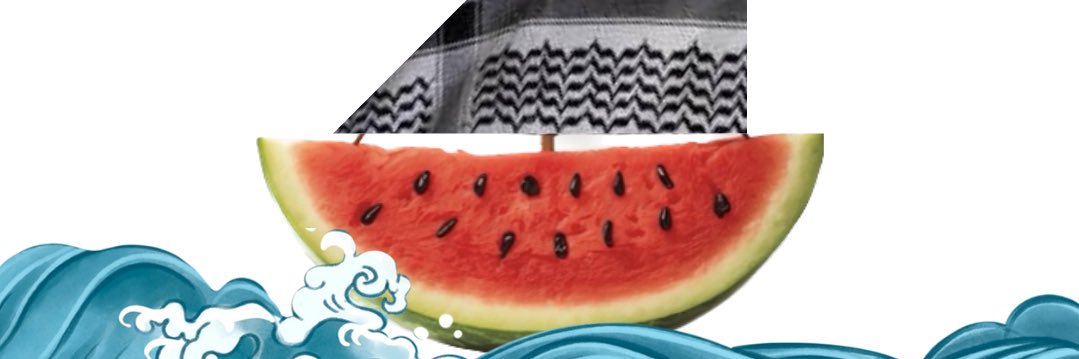 Aminath Zoona banner