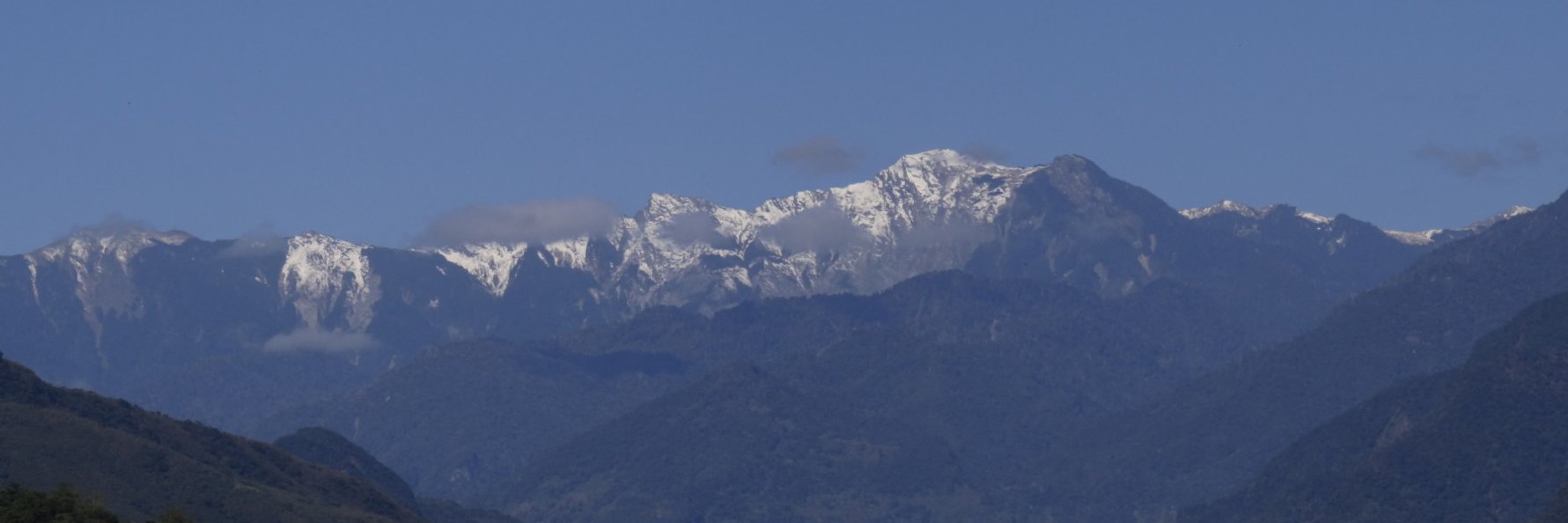 Chia-Hao Chang-Yang banner