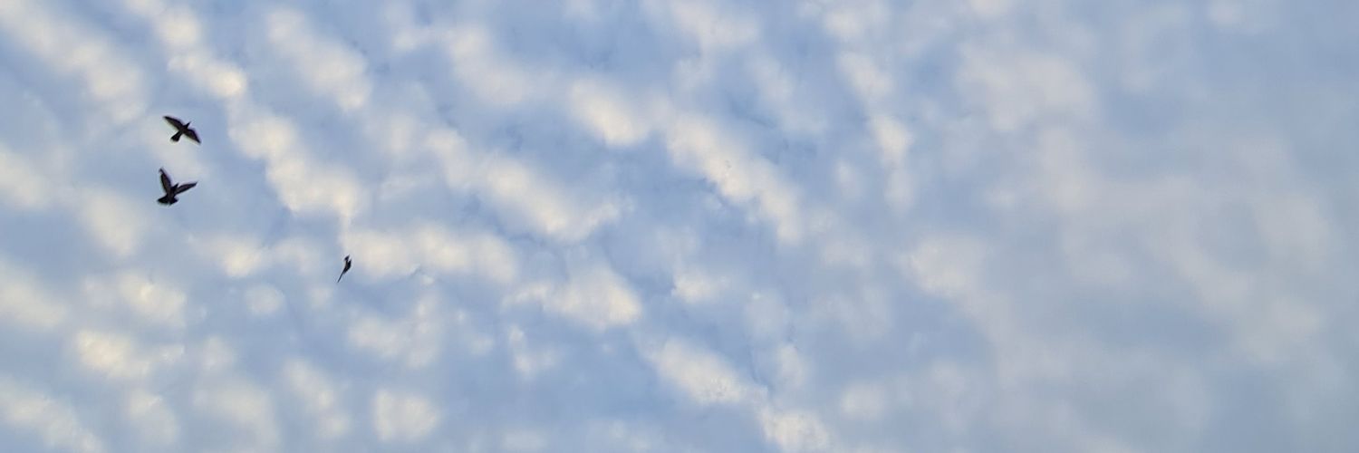 ama_le9's profile banner image