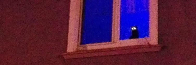 NDEPZR's profile banner image