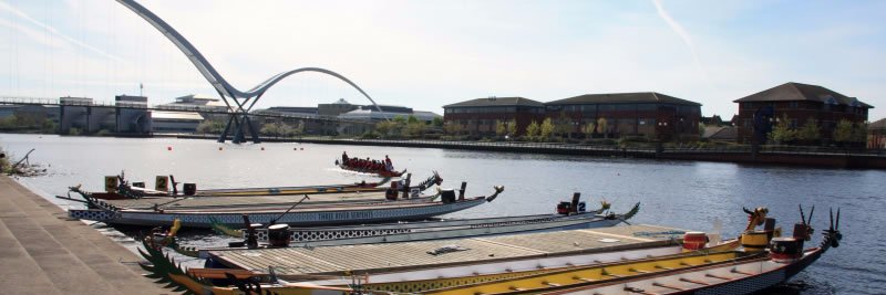 Powerhouse Dragons banner