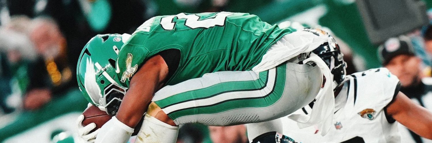 GoBirdsDHead's profile banner image