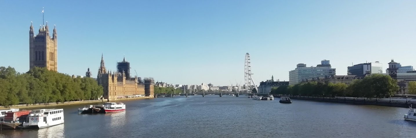 A Year in Tri banner