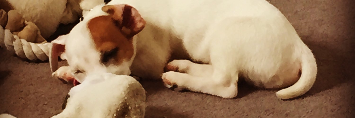 tegenpickton's profile banner image