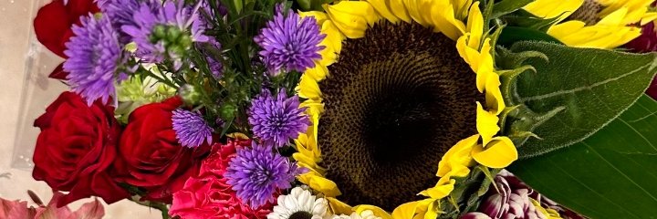𝙋𝙧𝙖𝙨𝙝𝙖𝙣𝙩 𝘽𝙝𝙖𝙩𝙣𝙖𝙜𝙖𝙧💞's banner
