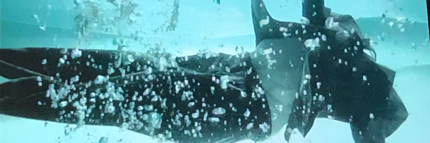 dubpsychedelico's profile banner image