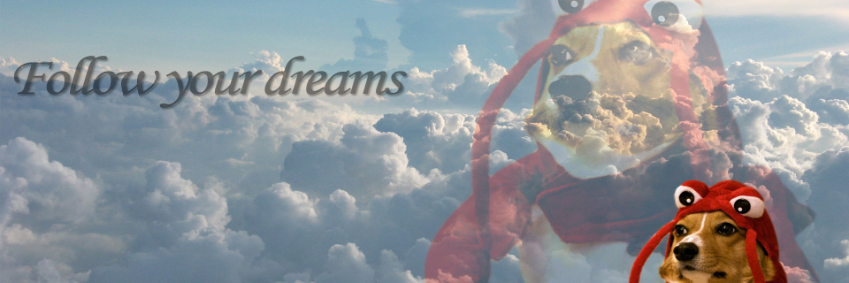 rkos345's profile banner image