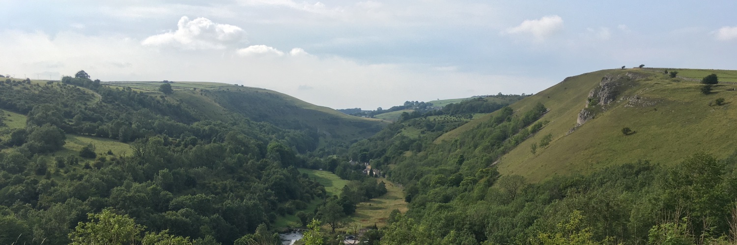 George Haynes banner
