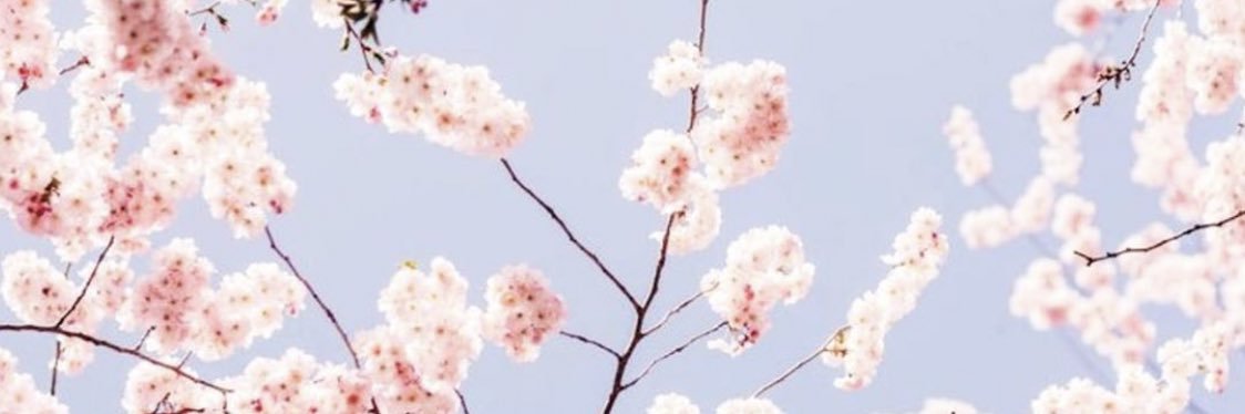Bea_11_selles's profile banner image