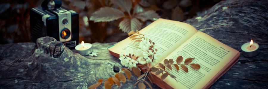 Wr_mind_kr_bot's profile banner image