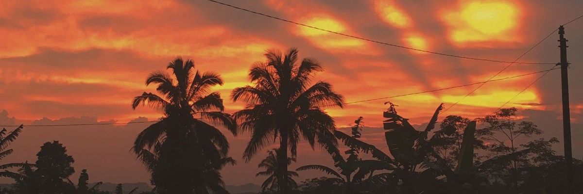 NovitadellaSP's profile banner image