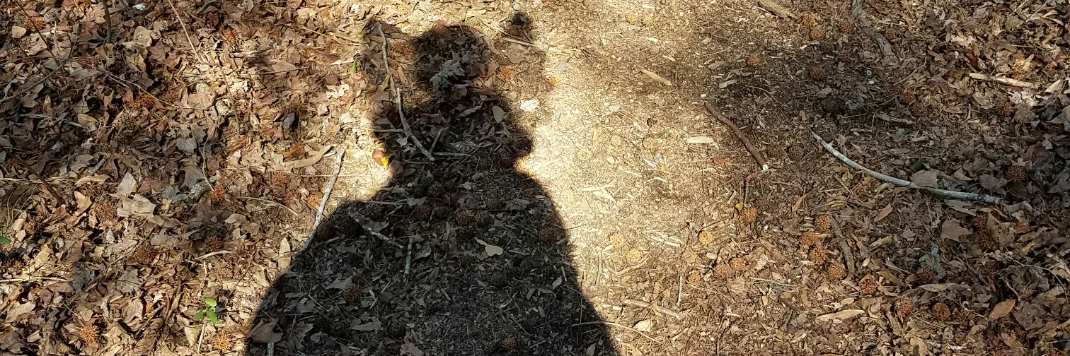 blmarti1's profile banner image