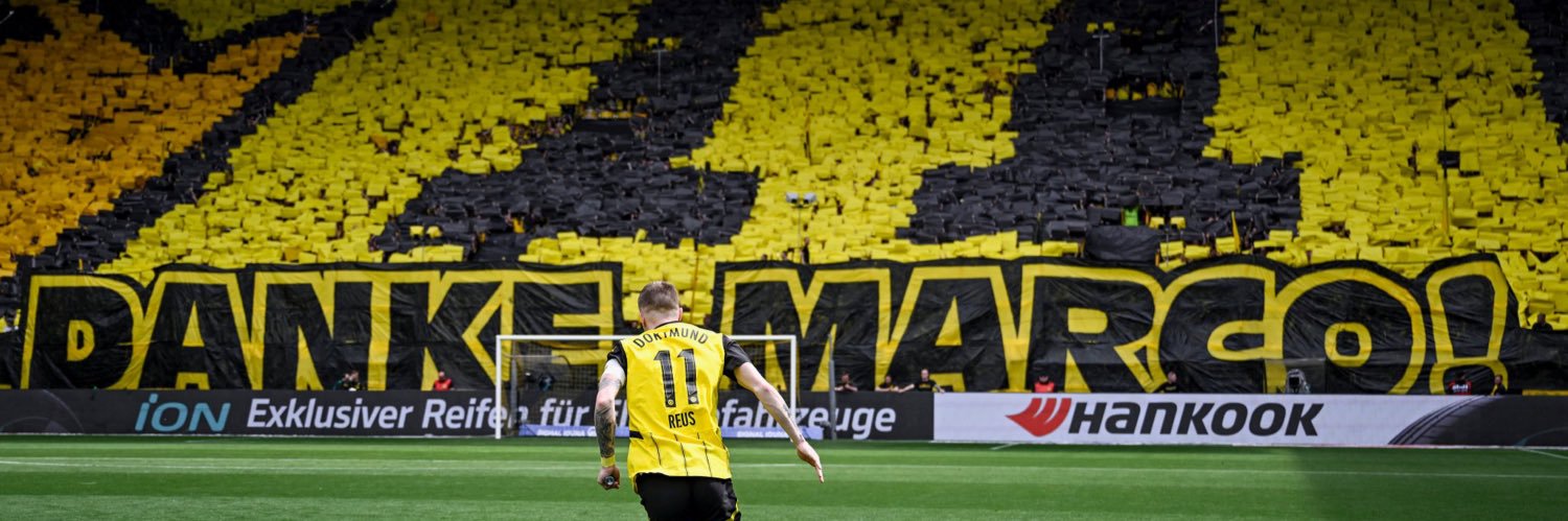 Lapachinho's profile banner image