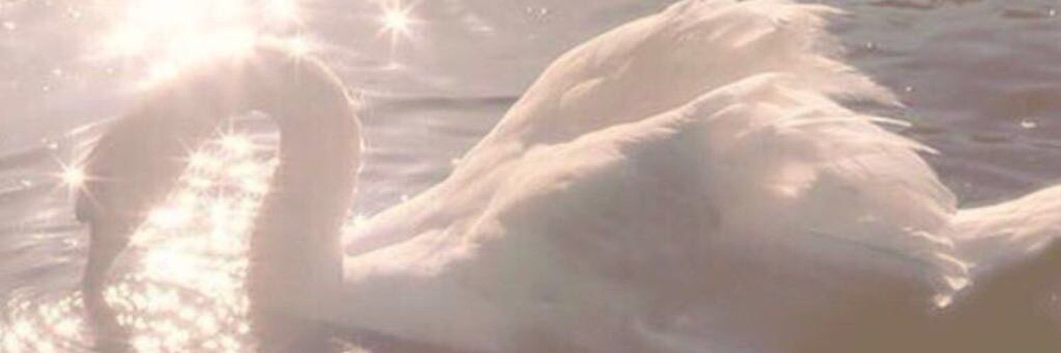 i_atherr's profile banner image