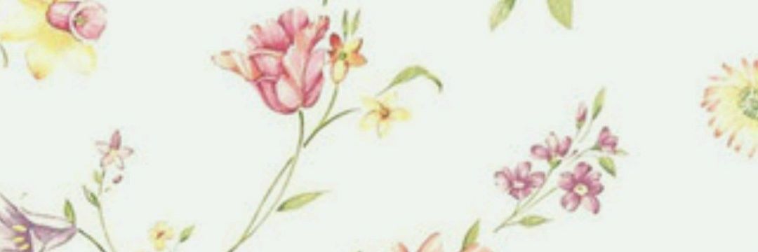 Ángela Vargas Alba banner