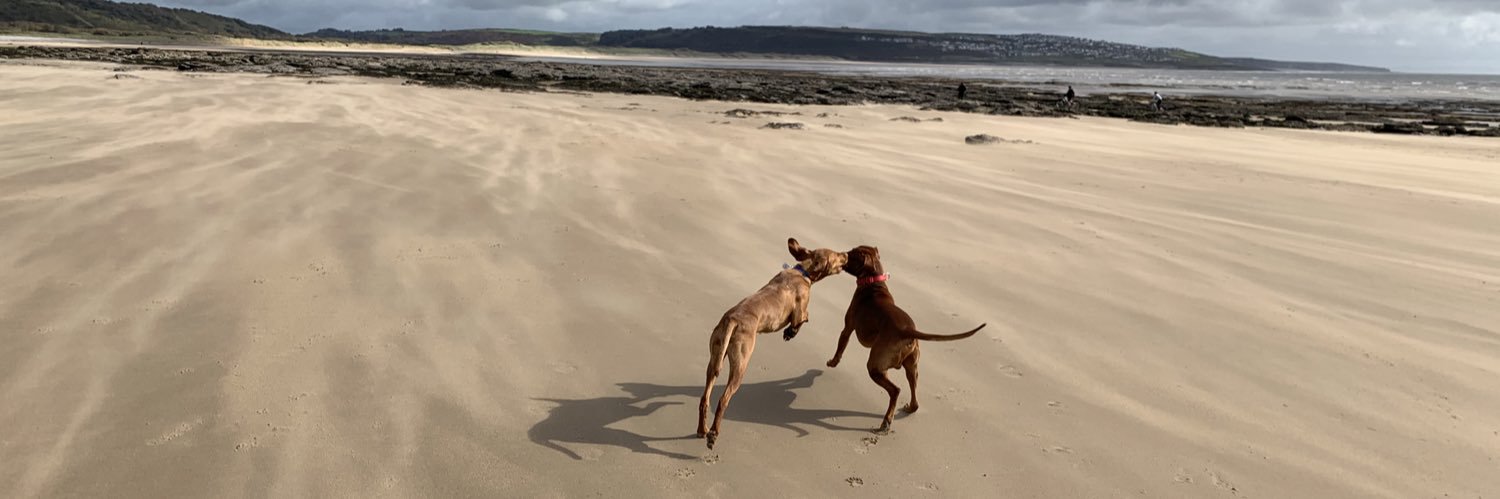 Sam Parris-Williams banner