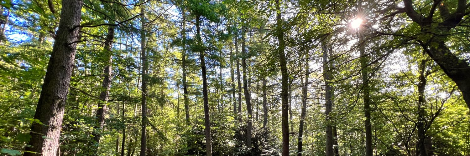 Dr Matt Unwin banner