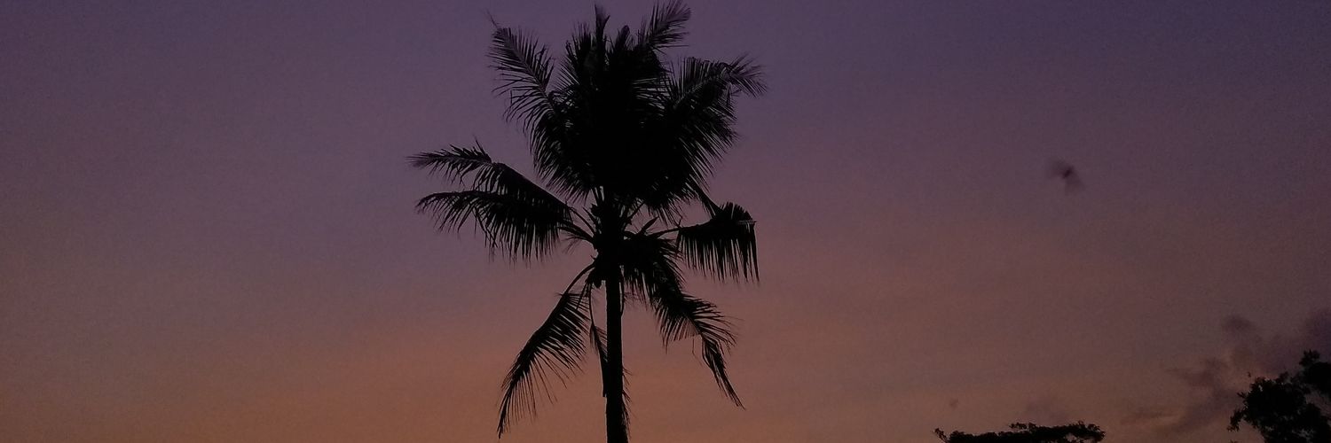 isnapt's profile banner image