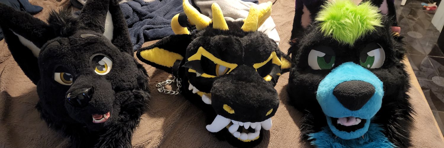 heyfinnwolf's profile banner image