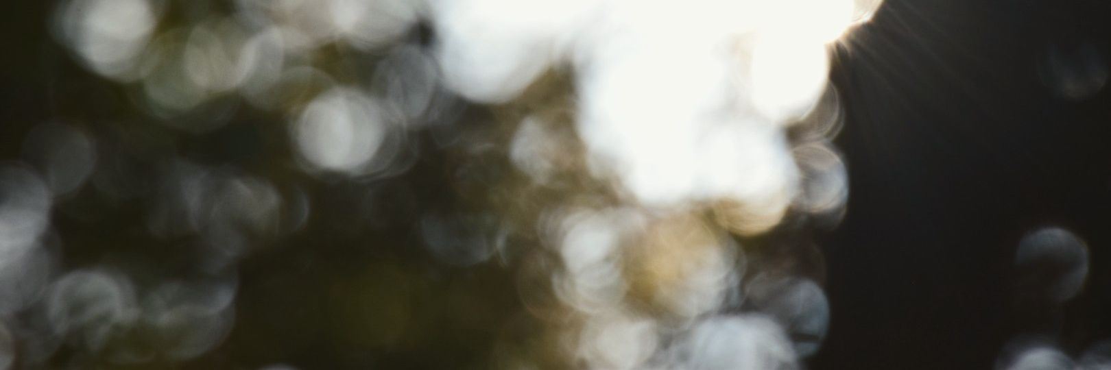 _komagome's profile banner image