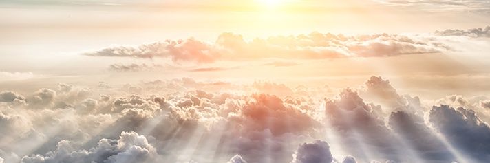 lo_8891's profile banner image