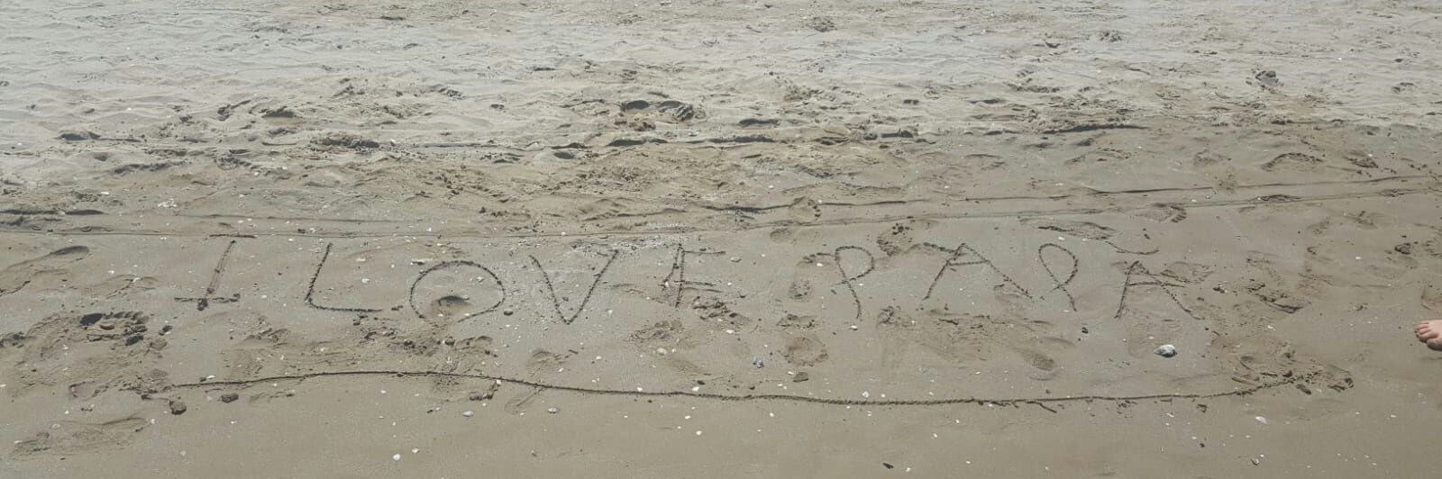 Andrea Biondi banner