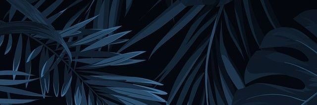 tigor_miu's profile banner image